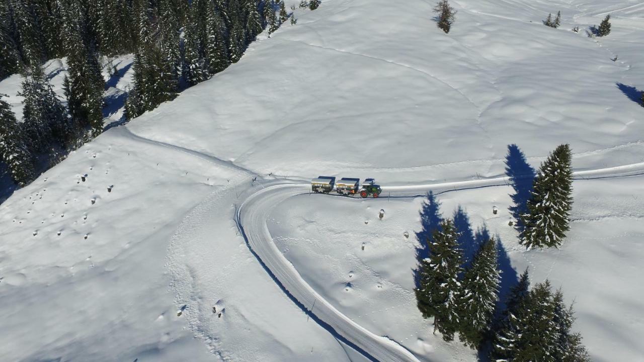 Ski In-Ski Out - Gaestehaeuser Saalbach-Hinterglemm - Wallegghof Christianhof Екстериор снимка